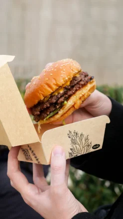 Boxen><noscript><img width=