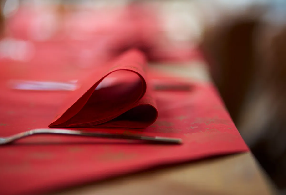 Servietten Im Dinnerformat>DUNI Bio soft® Serviette 40 x 40 cm Stargazing Red