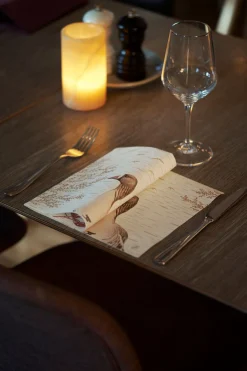 Servietten Im Dinnerformat>DUNI Bio soft® Serviette 40 x 40 cm Wood & Goose