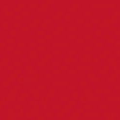 Servietten Im Lunchformat>DUNI Bio Tissue-Serviette 33 x 33 cm Rot 3-lagig