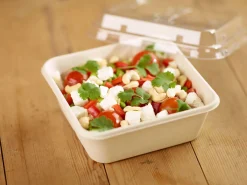 Boxen>DUNI Box Bagasse 900 ml Braun ungeteilt