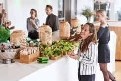 Boxen><noscript><img width=