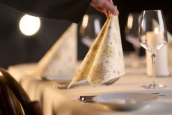 Servietten Im Dinnerformat>DUNI Classic-Serviette 40 x 40 cm Stargazing Cream