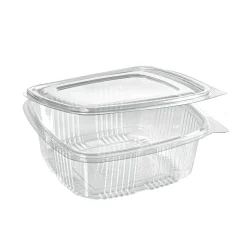 Boxen>DUNI Deli Hinged 1000 ml Transparent ungeteilt