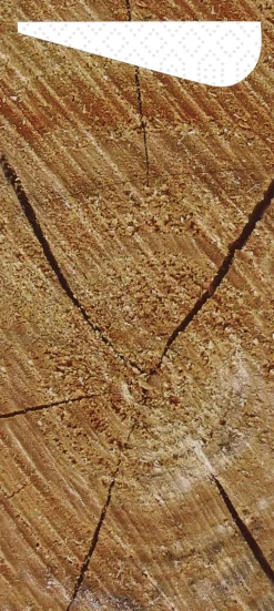 Bestecktaschen>DUNI Sacchetto®, Serviettentaschen, Tissue 8,5 x 19 cm wood