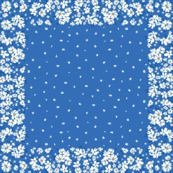 Hussen><noscript><img width=