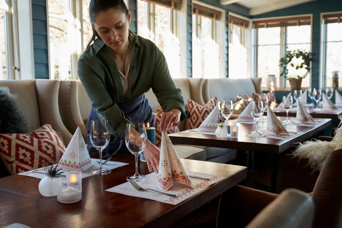 Servietten Im Dinnerformat>DUNI soft® Serviette 40 x 40 cm Tradition