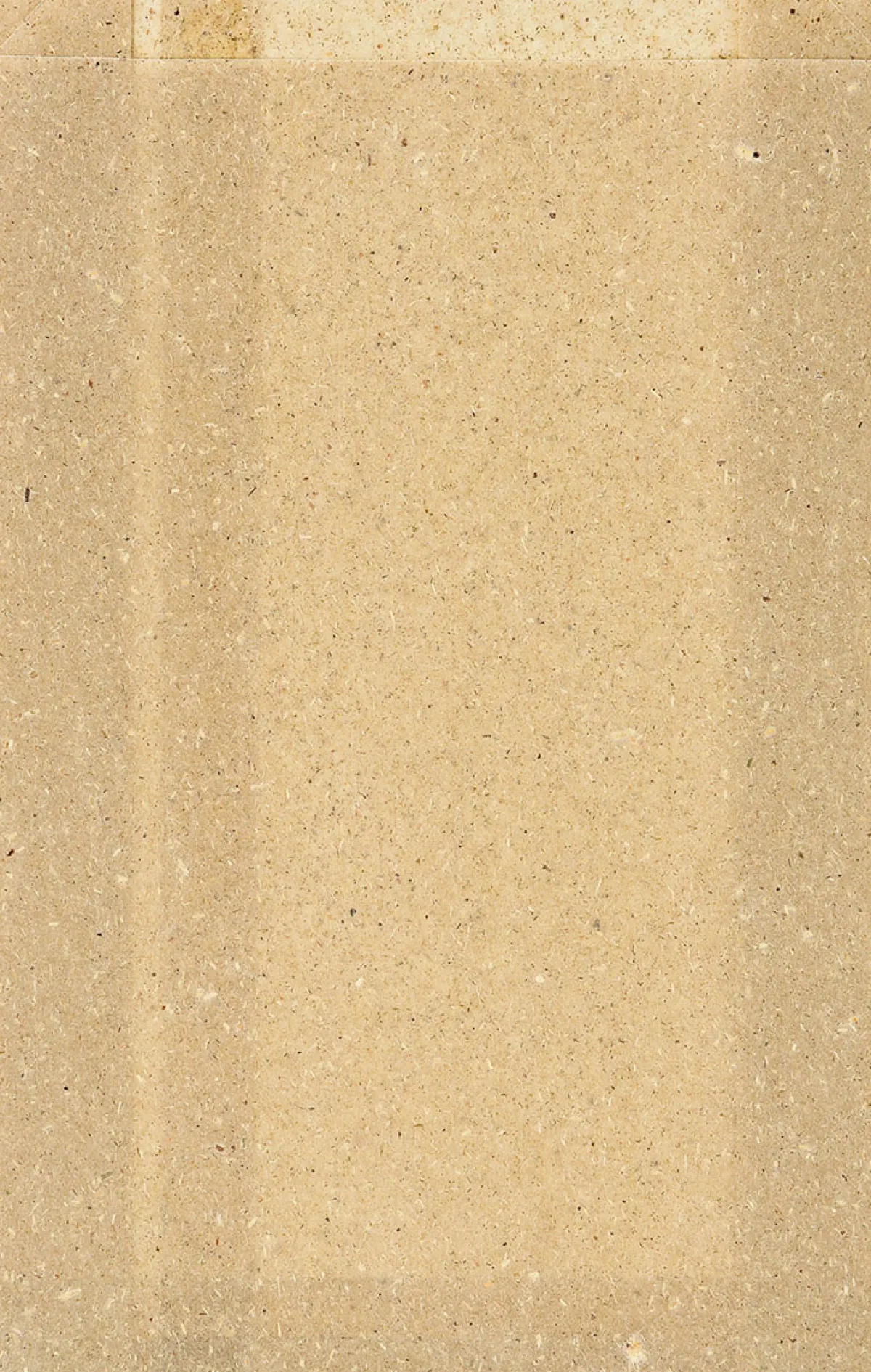 Take-Away-Taschen>DUNI Graspapier-Tüte, Bloom Medium 310 x 200 mm Nature