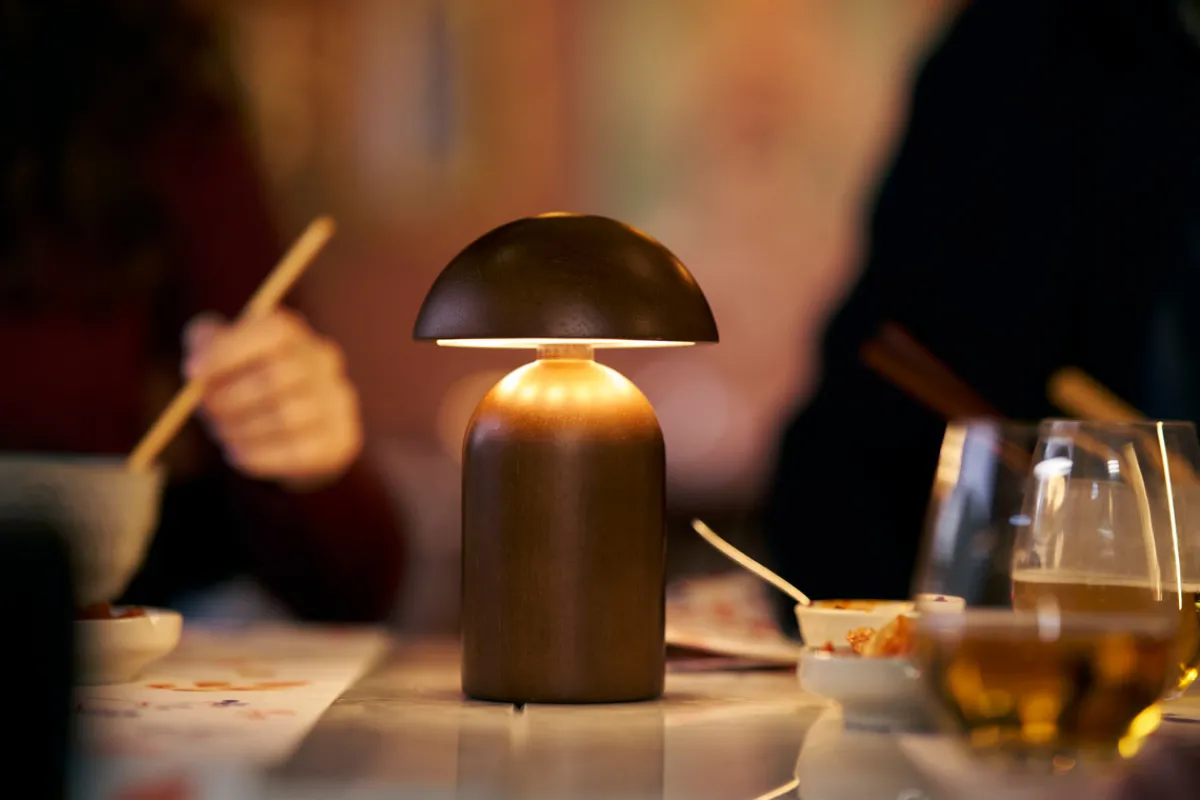 Led Lampen>DUNI LED Lamp Cordless Amanita 18 x Ø 12 cm 19 Std. Braun