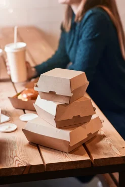 Boxen>DUNI Menübox petite 500 ml Braun ungeteilt