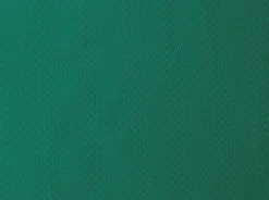 Tischsets>DUNI Papier-Tischset 30 x 40 cm Jägergrün