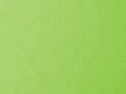 Tischsets>DUNI Papier-Tischset 30 x 40 cm Kiwi