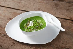 Bagasse Teller & Schalen>DUNI Pebble Teller 27 cm Weiß