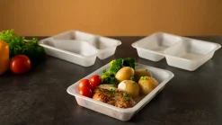 Siegelschalen>DUNIFORM PP-Schale Caterline 227 x 178 x 40 mm Transparent ungeteilt