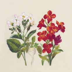 Servietten Im Lunchformat>PAPER + DESIGN Recycling-Tissue Serviette 33 x 33 cm Botanical 2-lagig