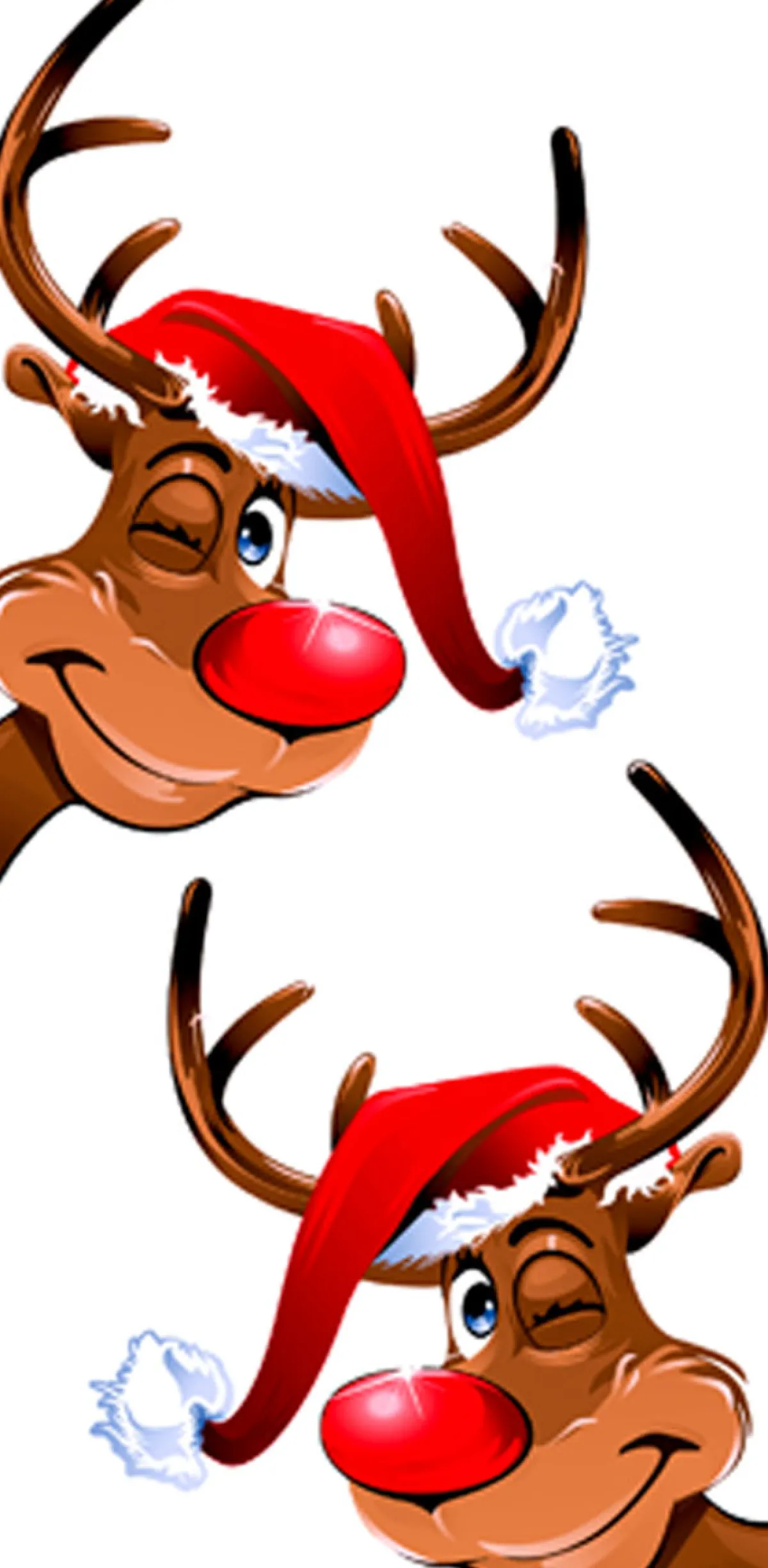 Kosmetiktücher>PAPER + DESIGN Taschentücher 21,5 x 22 cm Rudolph