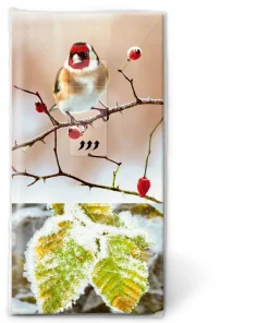 Kosmetiktücher>PAPER + DESIGN Taschentücher 21,5 x 22 cm Saison d'Hiver