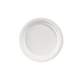 Bagasse Teller & Schalen>DUNI Teller Ø 22 cm Weiß