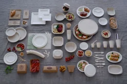 Bagasse Teller & Schalen>DUNI Teller Ø 22 cm Weiß