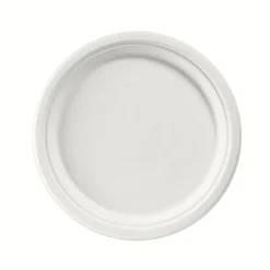 Bagasse Teller & Schalen>DUNI Teller Ø 26 cm Weiß