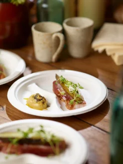 Bagasse Teller & Schalen>DUNI Teller 2-geteilt Ø 22 cm Weiß