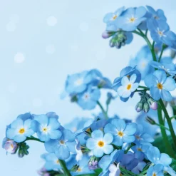 Servietten Im Lunchformat>PAPER + DESIGN Tissue-Serviette 33 x 33 cm Blue Dream 3-lagig