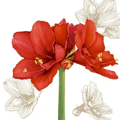 Servietten Im Lunchformat>PAPER + DESIGN Tissue-Serviette 33 x 33 cm Blossom Red 3-lagig