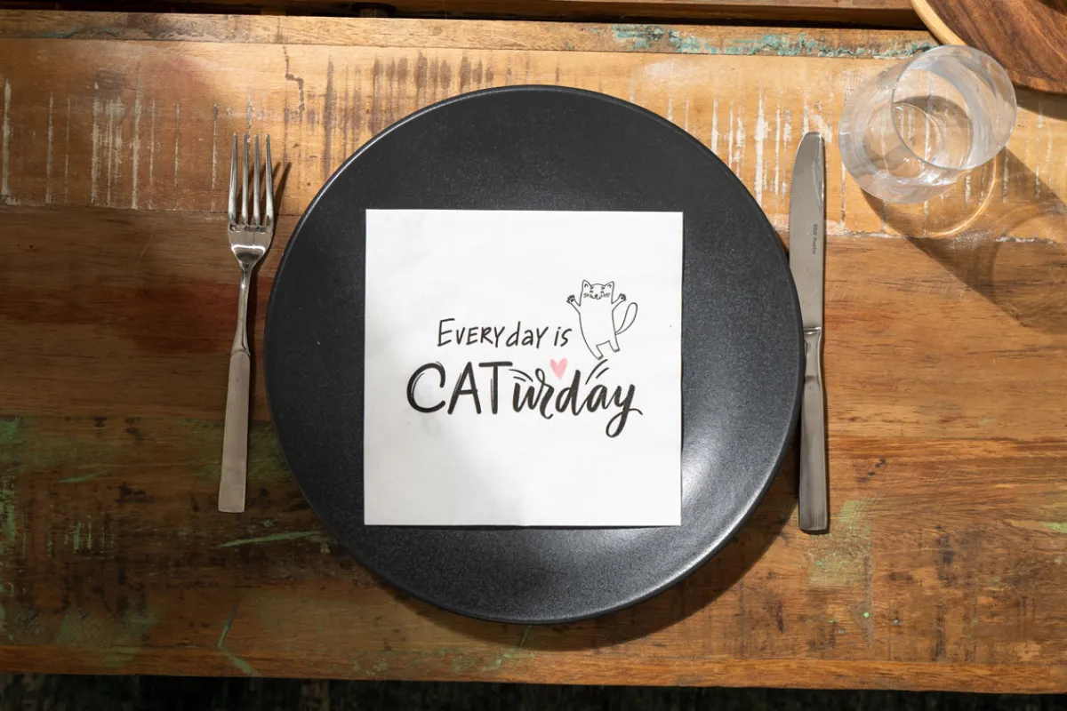 Servietten Im Lunchformat>PAPER + DESIGN Tissue-Serviette 33 x 33 cm Caturday 3-lagig