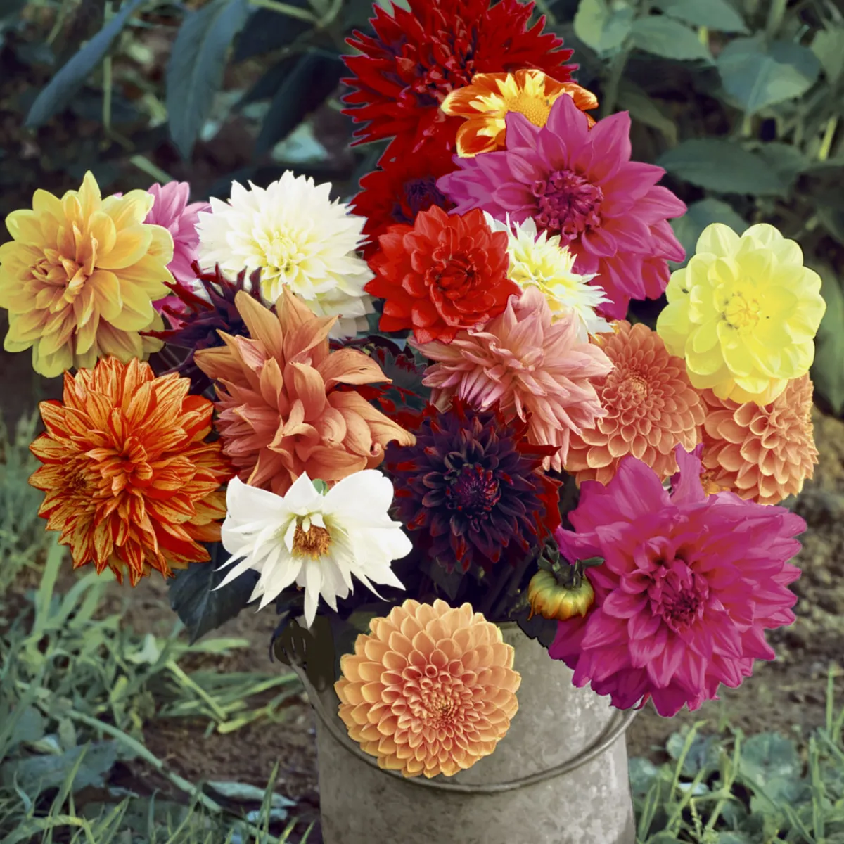 Servietten Im Lunchformat>PAPER + DESIGN Tissue-Serviette 33 x 33 cm Floral Magic 3-lagig