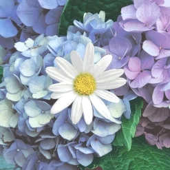 Servietten Im Lunchformat>PAPER + DESIGN Tissue-Serviette 33 x 33 cm Floral cascade 3-lagig