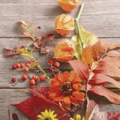 Servietten Im Lunchformat>PAPER + DESIGN Tissue-Serviette 33 x 33 cm Fruity florals 3-lagig