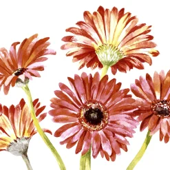 Servietten Im Lunchformat>PAPER + DESIGN Tissue-Serviette 33 x 33 cm Gerbera Art 3-lagig