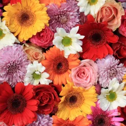 Servietten Im Lunchformat>PAPER + DESIGN Tissue-Serviette 33 x 33 cm Gerbera 3-lagig