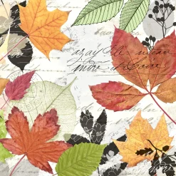 Cocktailservietten>PAPER + DESIGN Tissue-Serviette 24 x 24 cm Herbarium 3-lagig