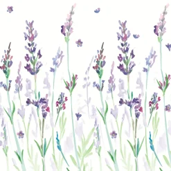 Cocktailservietten>PAPER + DESIGN Tissue-Serviette 24 x 24 cm Lavendream 3-lagig