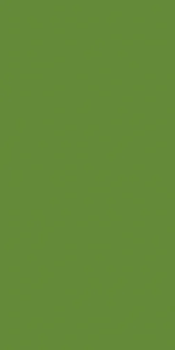 Vorgefaltete Servietten>DUNI Tissue-Serviette 33 x 33 cm Leaf Green 3-lagig