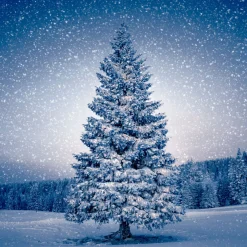 Servietten Im Lunchformat>PAPER + DESIGN Tissue-Serviette 33 x 33 cm Magic Tree 3-lagig