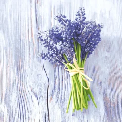 Servietten Im Lunchformat>PAPER + DESIGN Tissue-Serviette 33 x 33 cm Muscari bundle 3-lagig