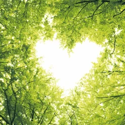 Cocktailservietten>PAPER + DESIGN Tissue-Serviette 24 x 24 cm Nature Love 3-lagig