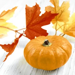 Servietten Im Lunchformat>PAPER + DESIGN Tissue-Serviette 33 x 33 cm Pumpkin Leaf 3-lagig