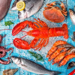 Servietten Im Lunchformat>PAPER + DESIGN Tissue-Serviette 33 x 33 cm Seafood 3-lagig