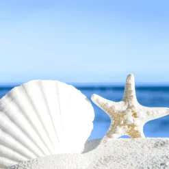 Servietten Im Lunchformat>PAPER + DESIGN Tissue-Serviette 33 x 33 cm Shells by the sea 3-lagig