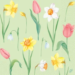 Servietten Im Dinnerformat>DUNI Tissue-Serviette 40 x 40 cm Spring Melody 3-lagig