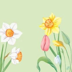 Servietten Im Dinnerformat>DUNI Tissue-Serviette 40 x 40 cm Spring Melody