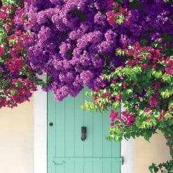 Servietten Im Lunchformat>PAPER + DESIGN Tissue-Serviette 33 x 33 cm Summer Vibes 3-lagig