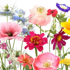 Cocktailservietten>PAPER + DESIGN Tissue-Serviette 24 x 24 cm Wildflower garden 3-lagig