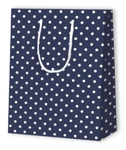 Geschenktüten>DUNI Tüte