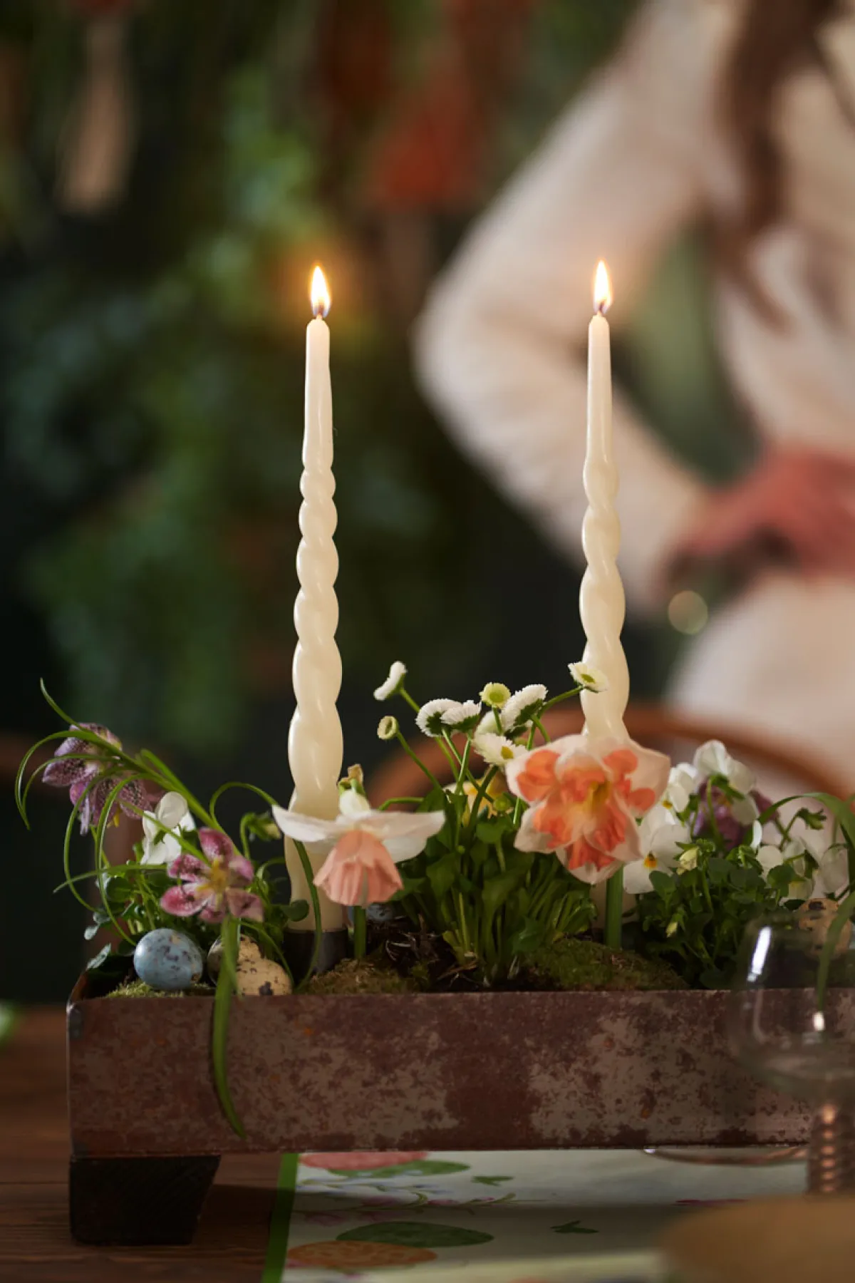 Stabkerzen>DUNI Twisted Candles 280 x Ø 22 mm 8 Std. Cream