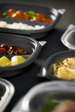 Boxen>DUNI Vista Box Large 670/460 ml Grau 2-Teilung